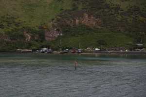 HARINGTON-POINT-DUNEDIN (26)